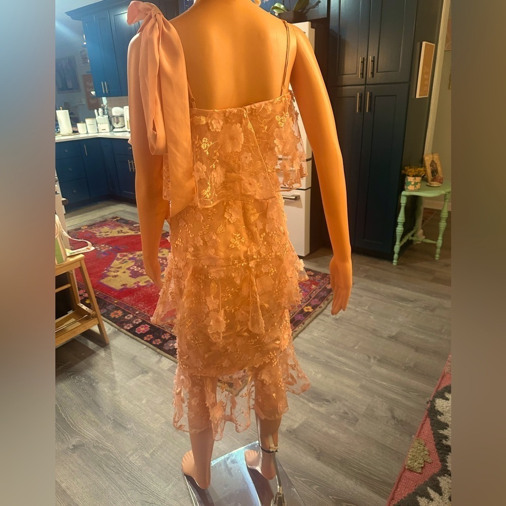 ASOS light pink/nude dainty flower cut out sheer dress sz 4 - NWT - Picture 12 of 16